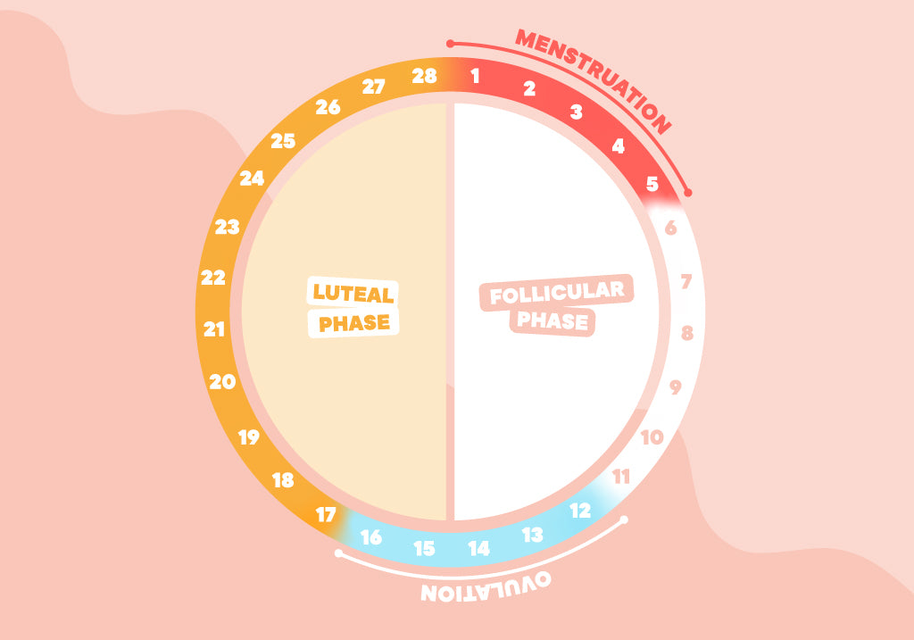 Why Do I Feel So Tired Before My Period? And Other Menstrual Questions Answered!